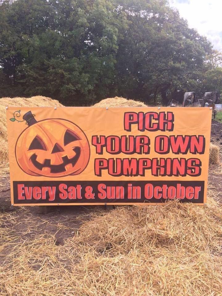 Pick Your Own Pumpkin on Farington Moss 2024