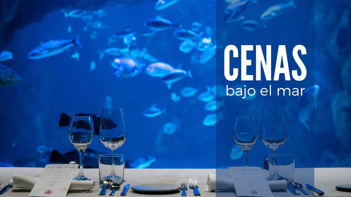 Cenas bajo el mar 23 de noviembre 