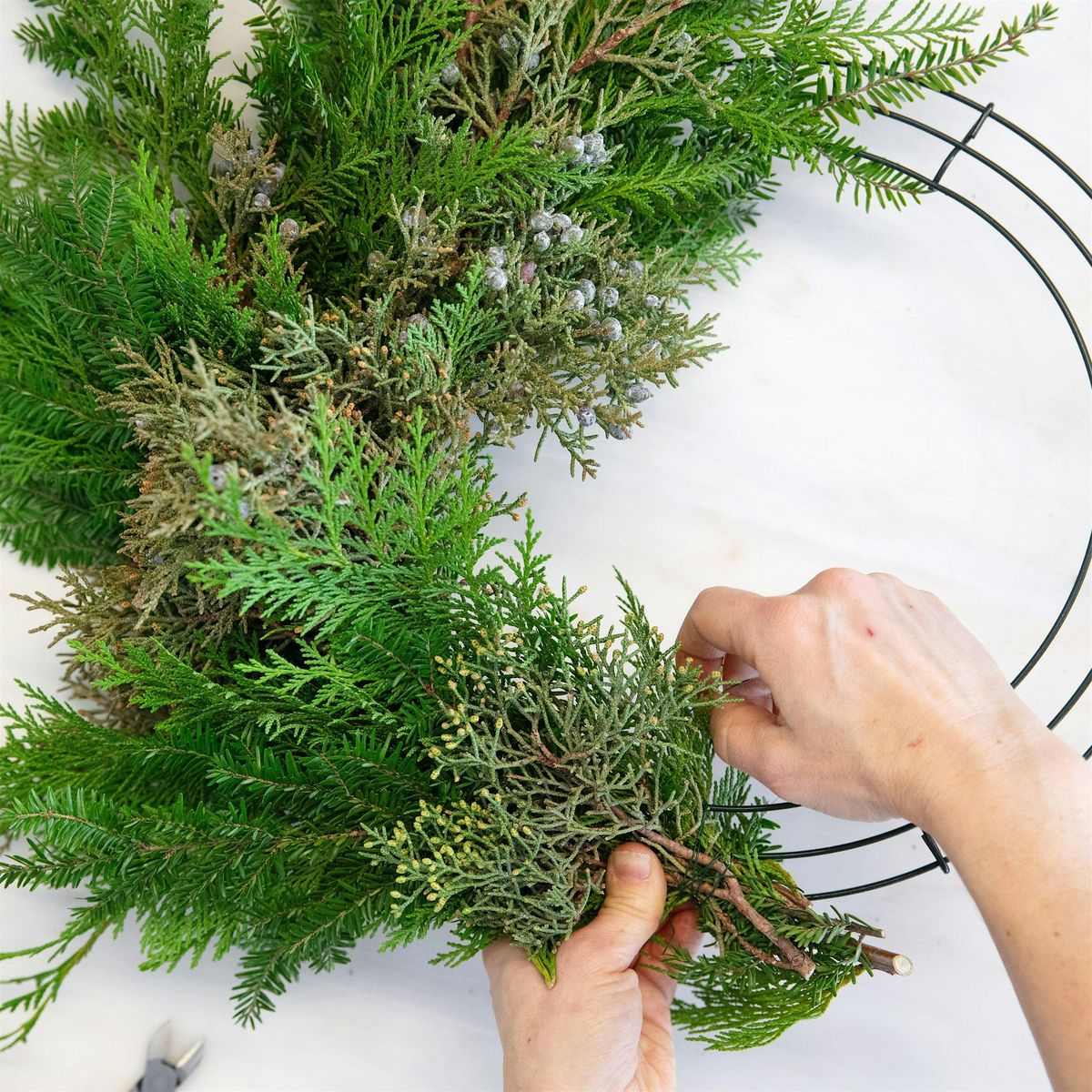 Winter Greens Wreath and Porch Pot Workshop - Pre-Order by Sept. 30!