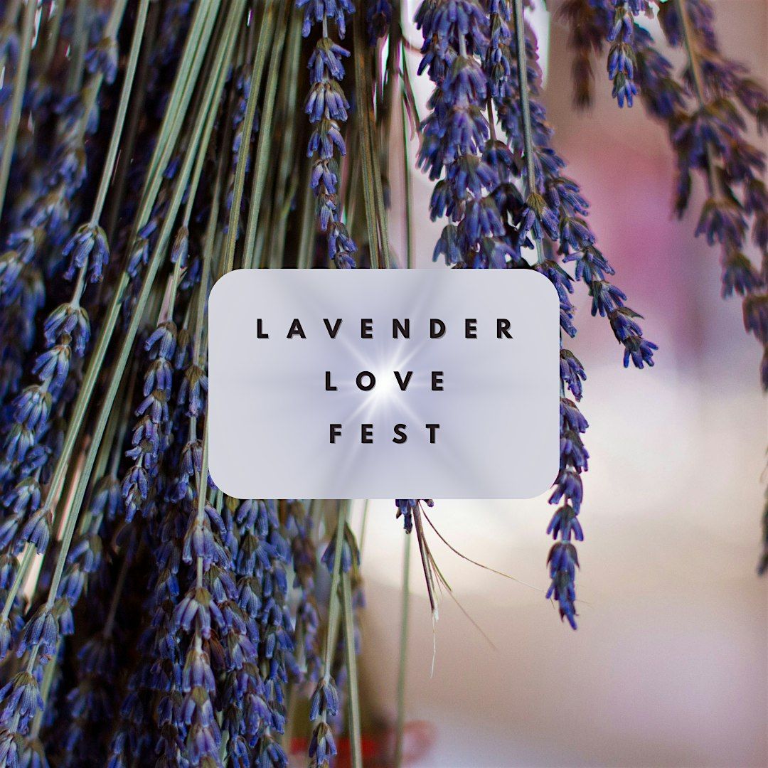 Lavender Love Fest