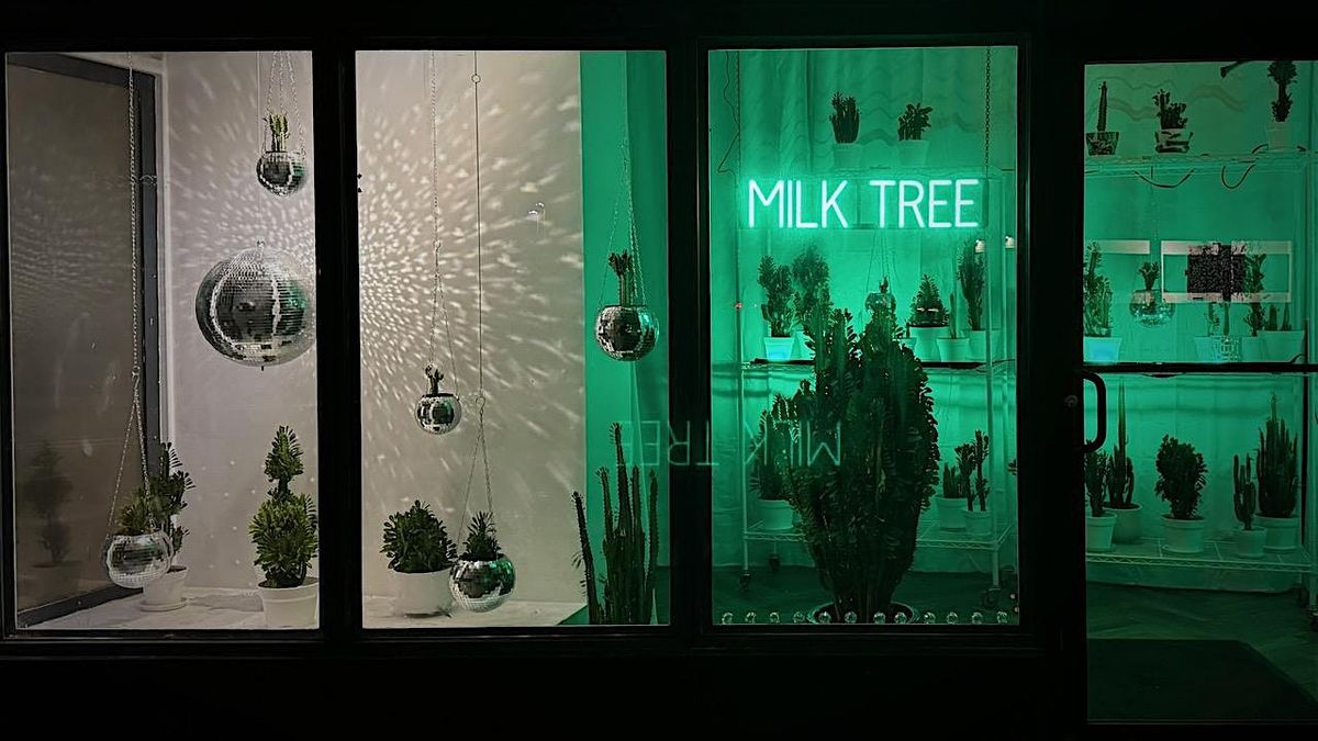 Milk Tree: A Creative Pop-up by Robin Bell