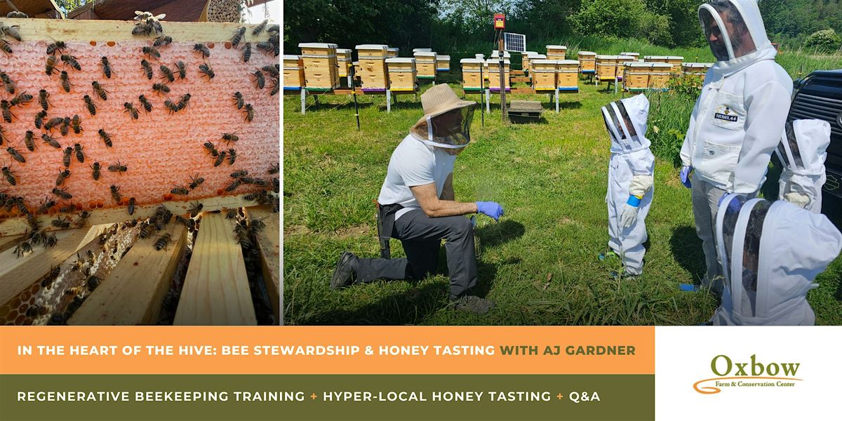 In The Heart of the Hive: Bee Stewardship & Hyper Local Honey Tasting