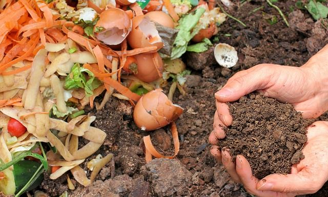 Composting 101 Workshop