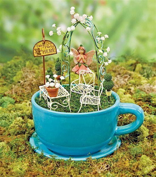 Teacup Fairy Gardens