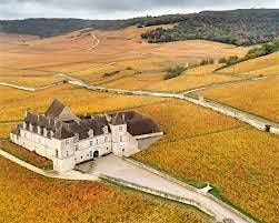 The Wines of Domaine Drouhin