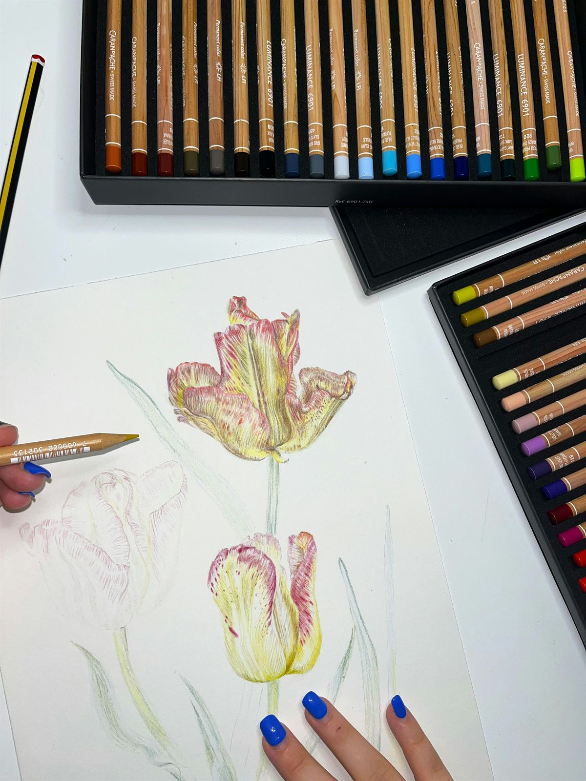 Botanical Drawing 101