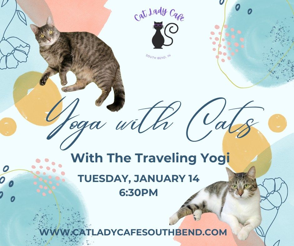 Yoga with Cats!