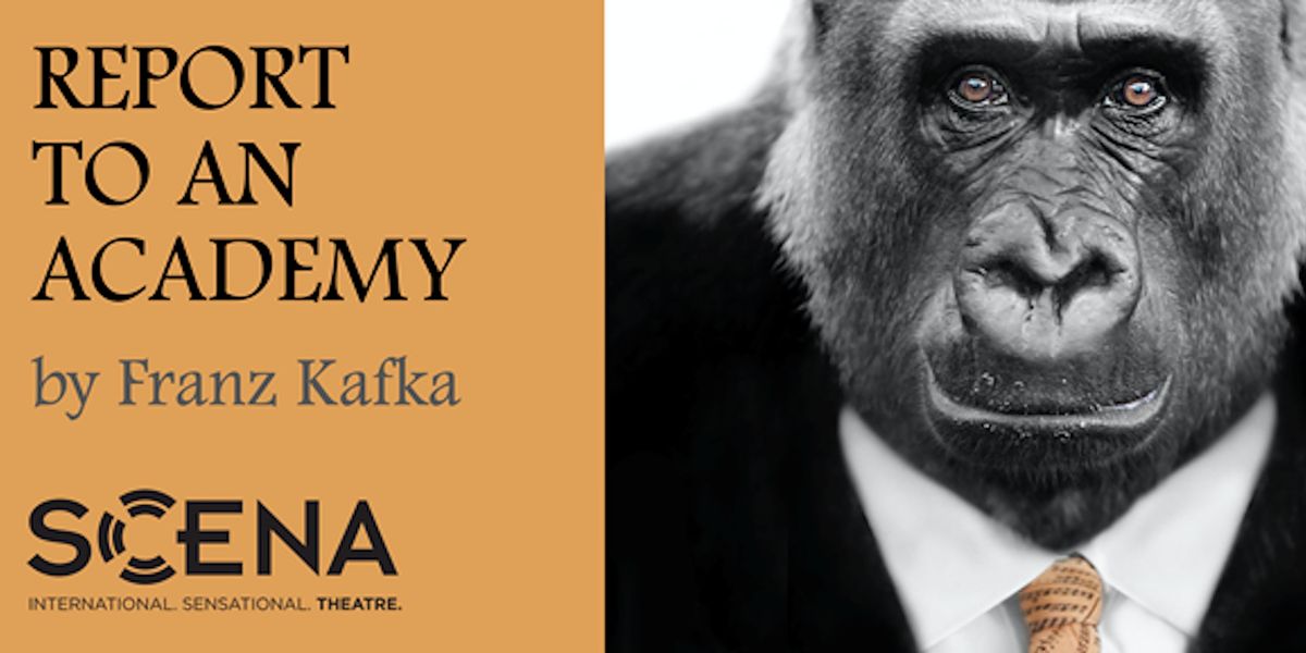 "Report to an Academy," Franz Kafka | Presented by Scena Theatre