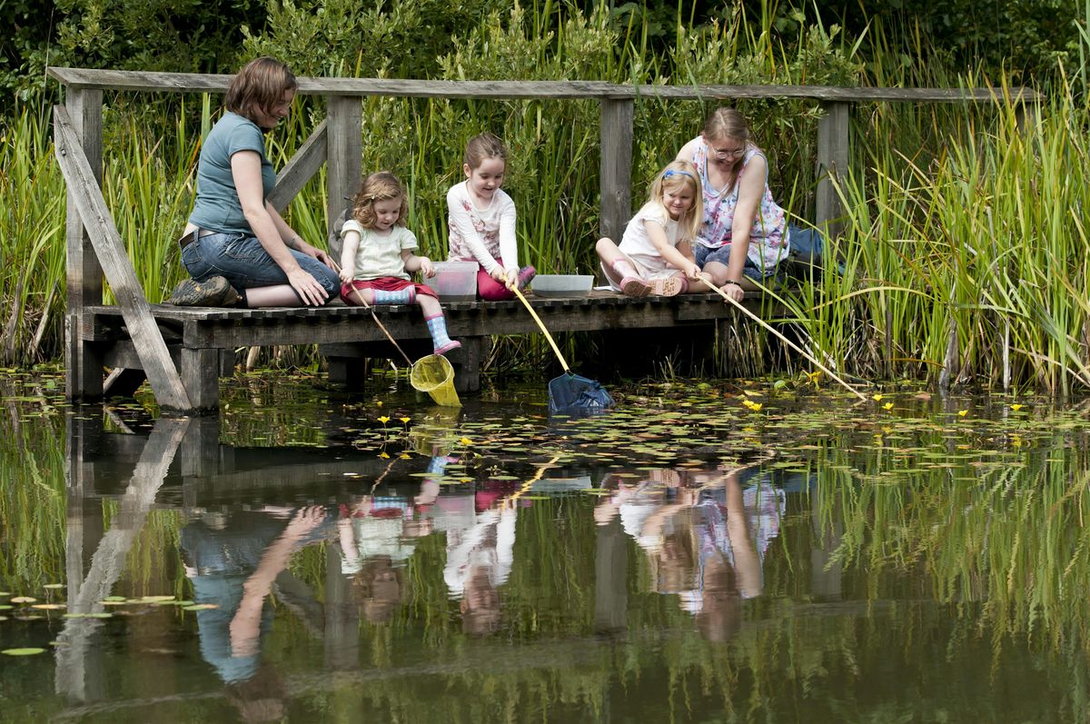 Members Only - Family Pond Dipping at Brandon