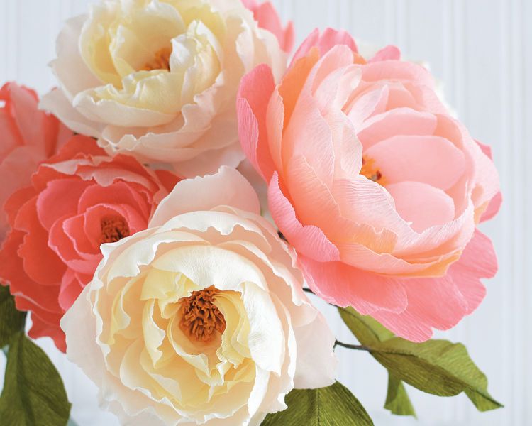 Crepe Paper Flowers with Jessie Chui