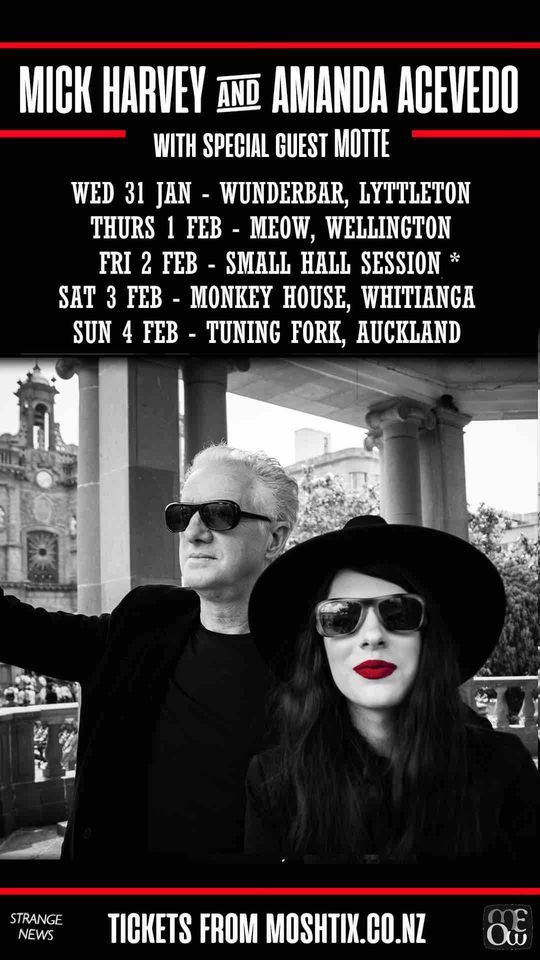 Mick Harvey & Amanda Acevedo