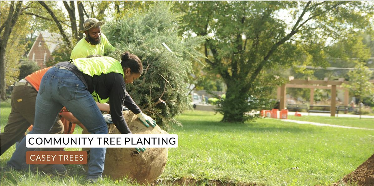 Community Tree Planting: Congress Park Apartments