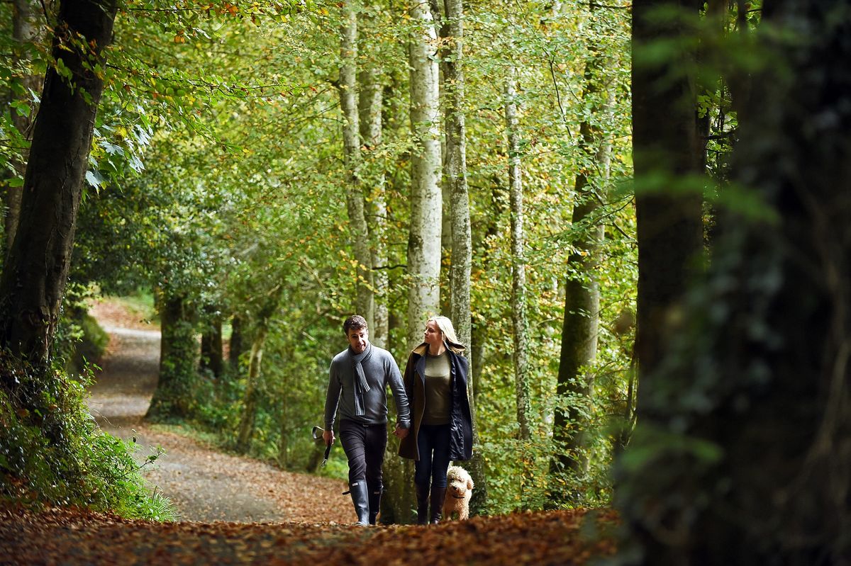 Penrose social walks (Highburrow)