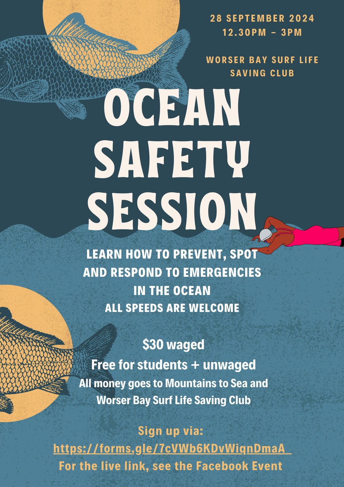 Ocean Swimming Safety Session Wellington