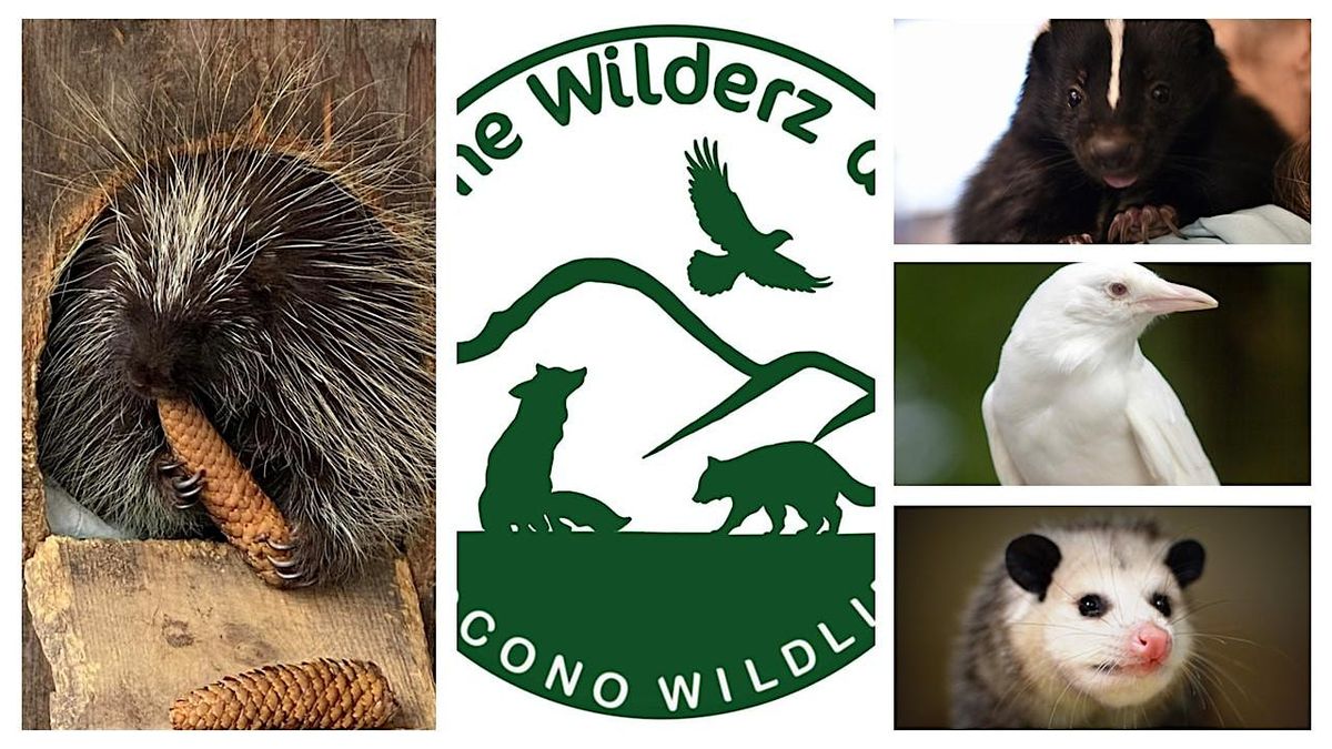 Pocono Wildlife Rehabilitati & Education Center fundraiser (meet and greet)