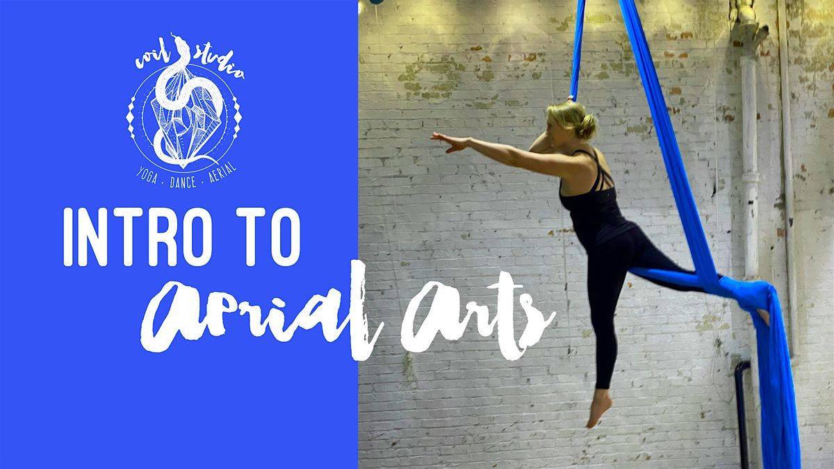 Intro to Aerial Arts Teaser Class
