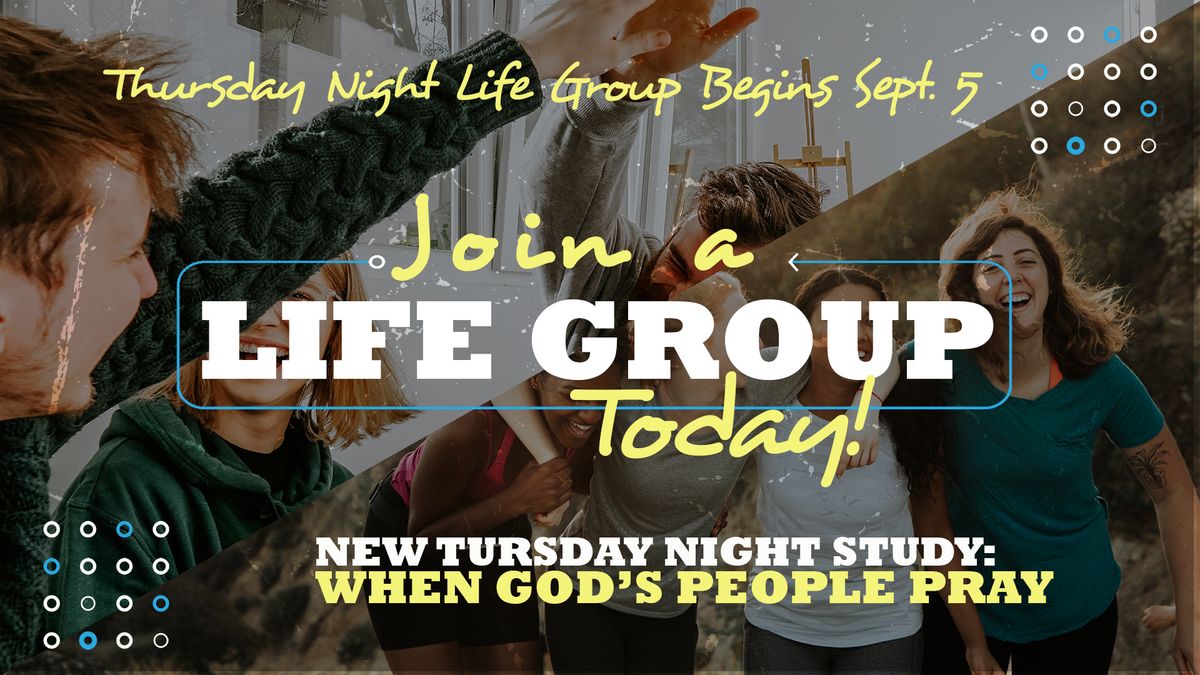 Life Groups