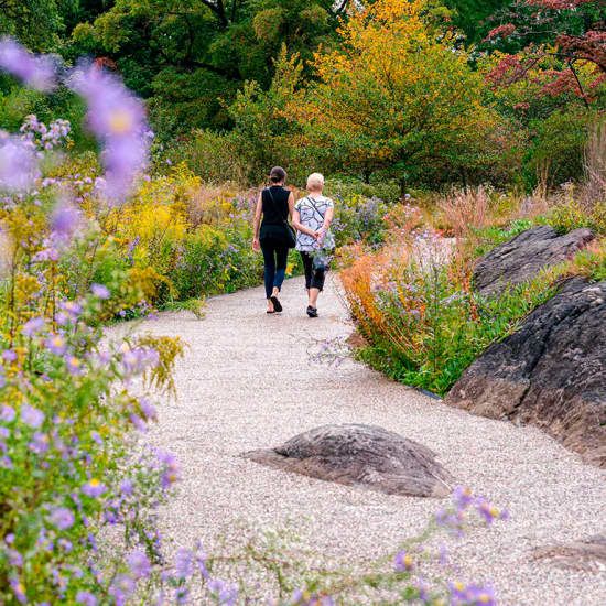 Find Your Fall: New York Botanical Garden