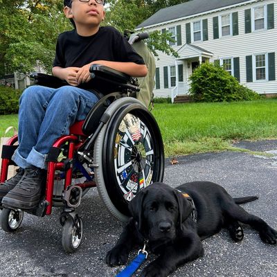 India Lipton - Dylan's Do Over