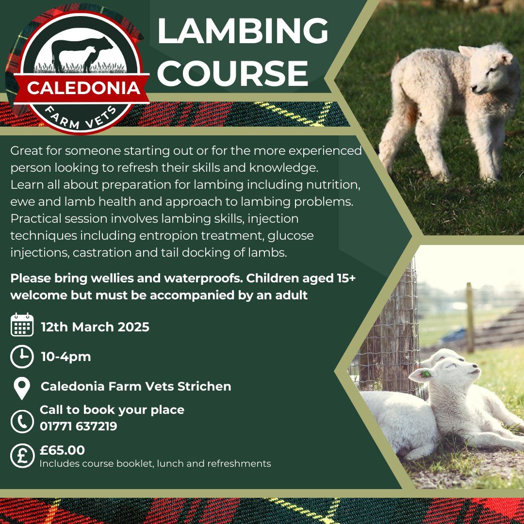 Caledonia Vets Lambing Course 2025