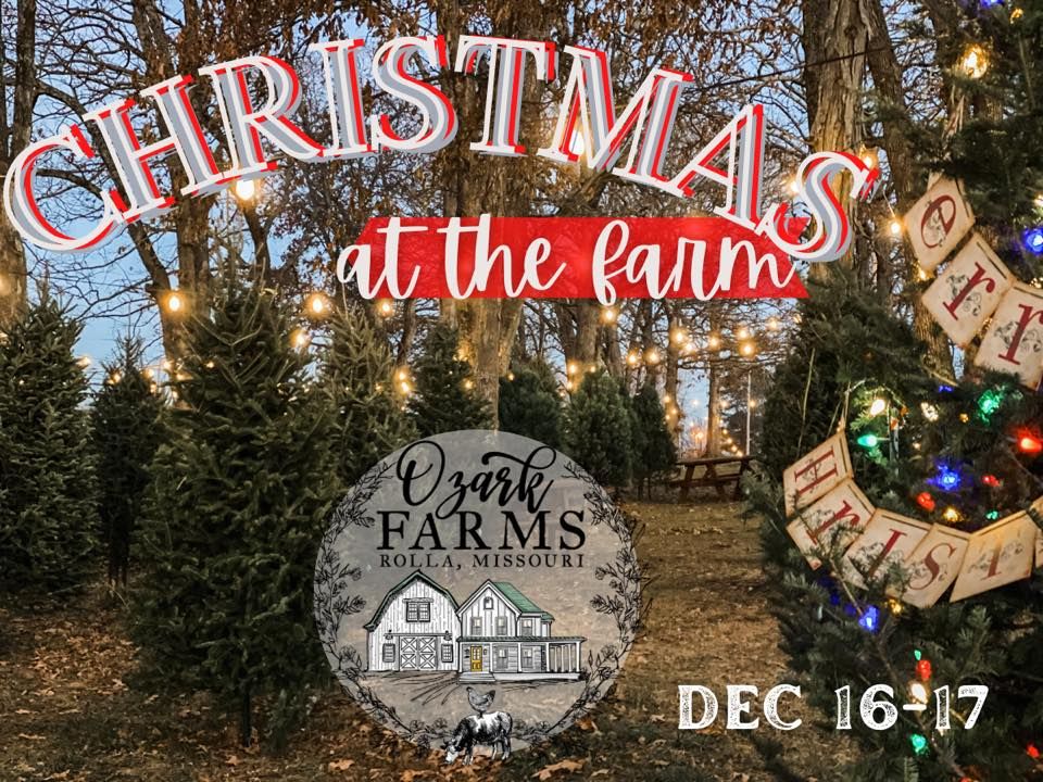 Christmas ? at the Farm, Ozark Farms, Rolla, 16 December to 17 December