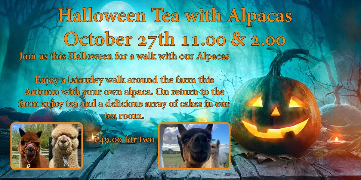 Halloween Tea with Alpacas