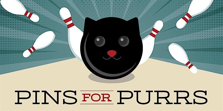 Pins for Purrs 2024