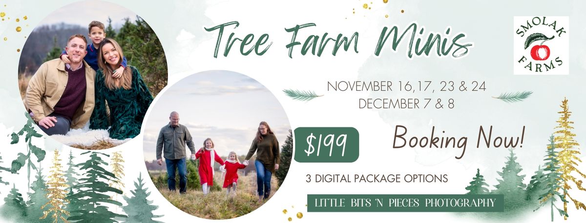 Tree Farm Mini Sessions