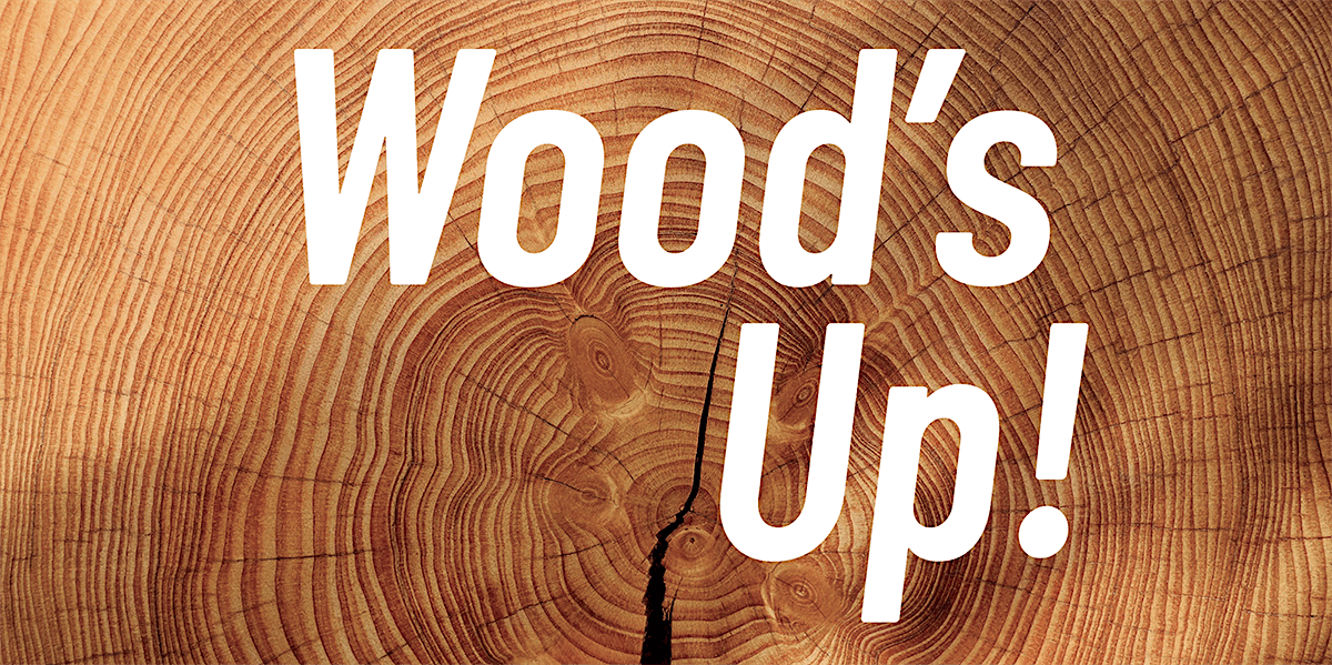 Wood's Up! Holzbau im Gespr\u00e4ch