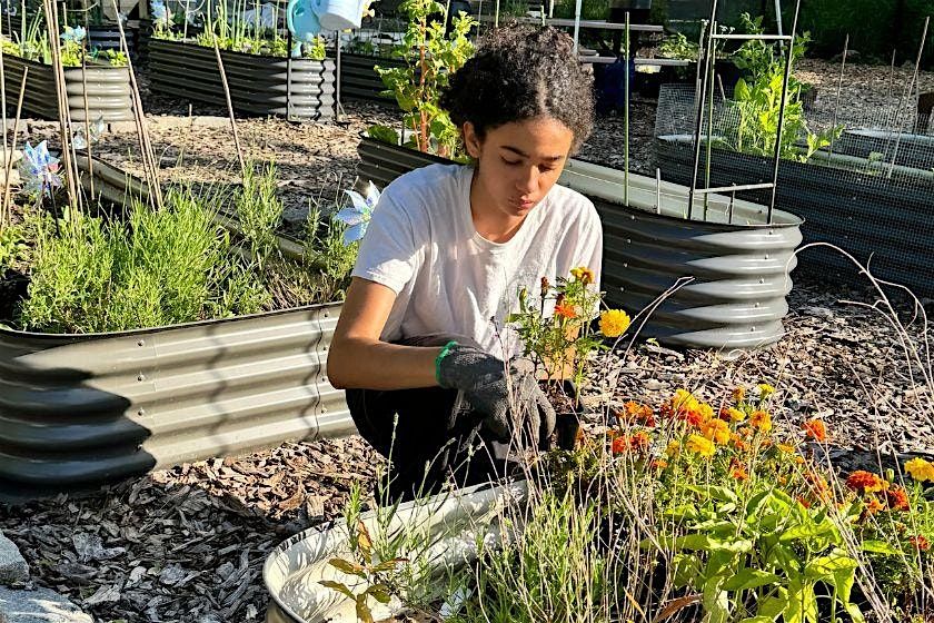 Fall Garden Tune-Up Tuesdays