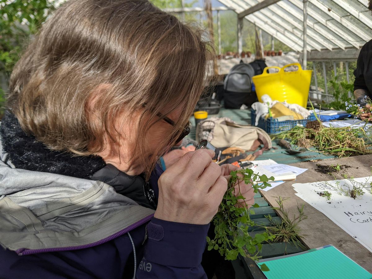 City & Guilds Practical Horticulture Qualification Open Day