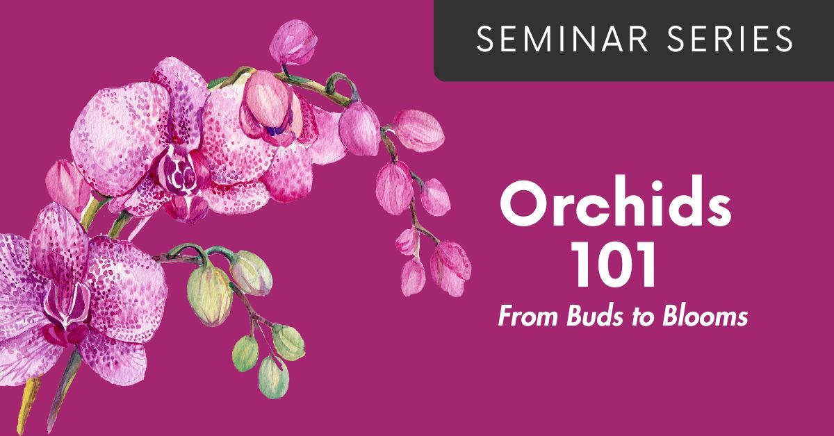 Seminar | Orchids 101: From Buds to Blooms