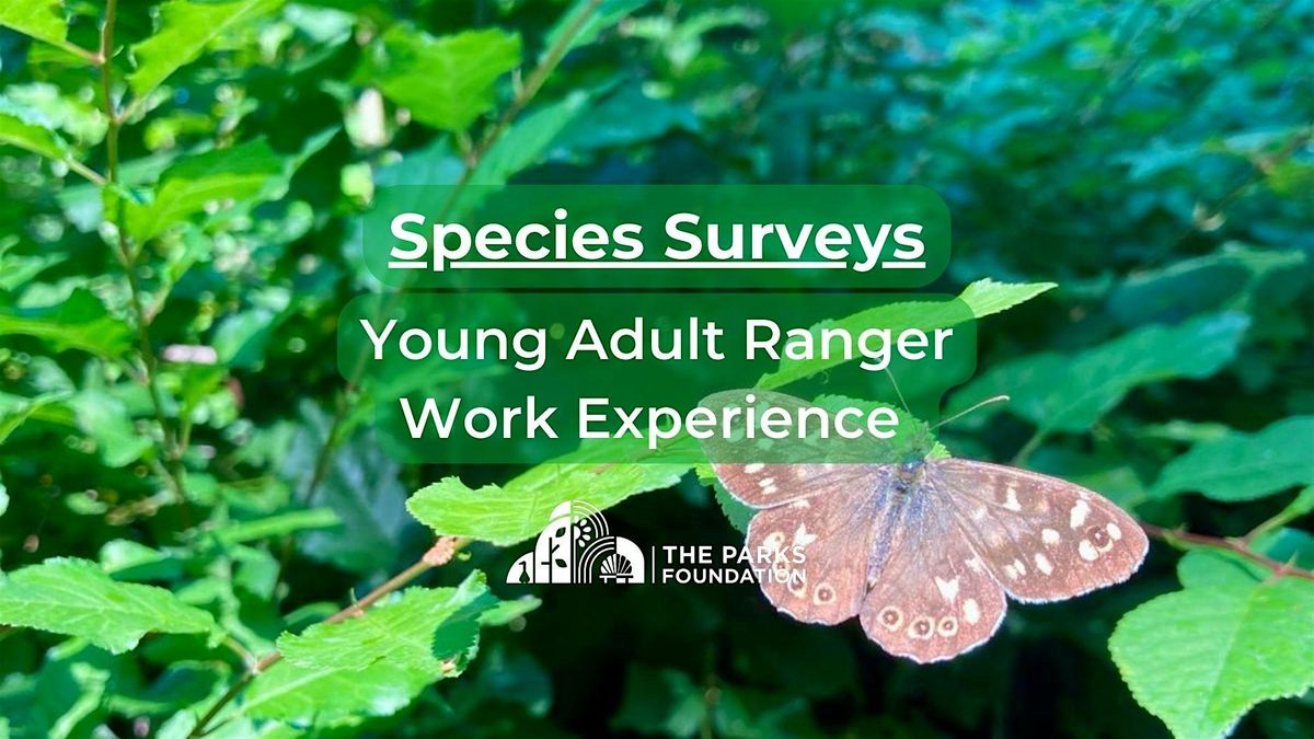 Species Surveys - Young Adult Ranger Work Experience at Watermans Park