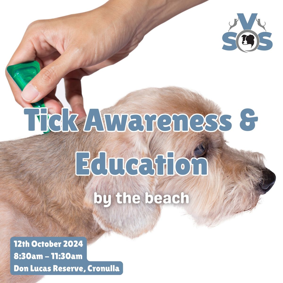 Tick Awareness & Education by the beach