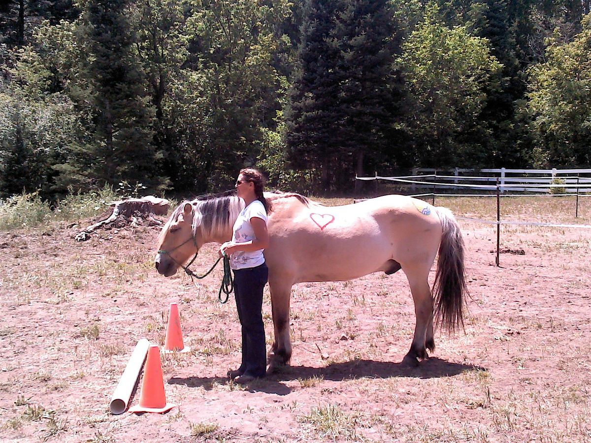 Re-ignite Your Life's Flow and Sense of Awe!  Full-Day Retreat with Equines