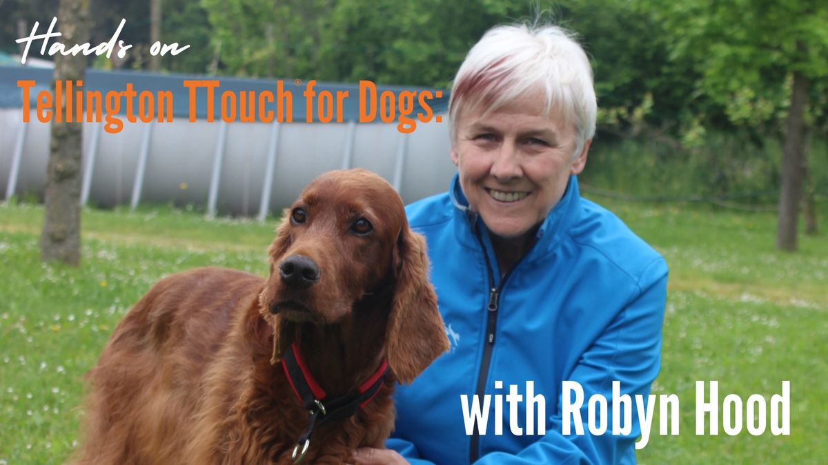 Tellington TTouch for Dogs: hands-on with Robyn Hood, Somerset, United Kingdom