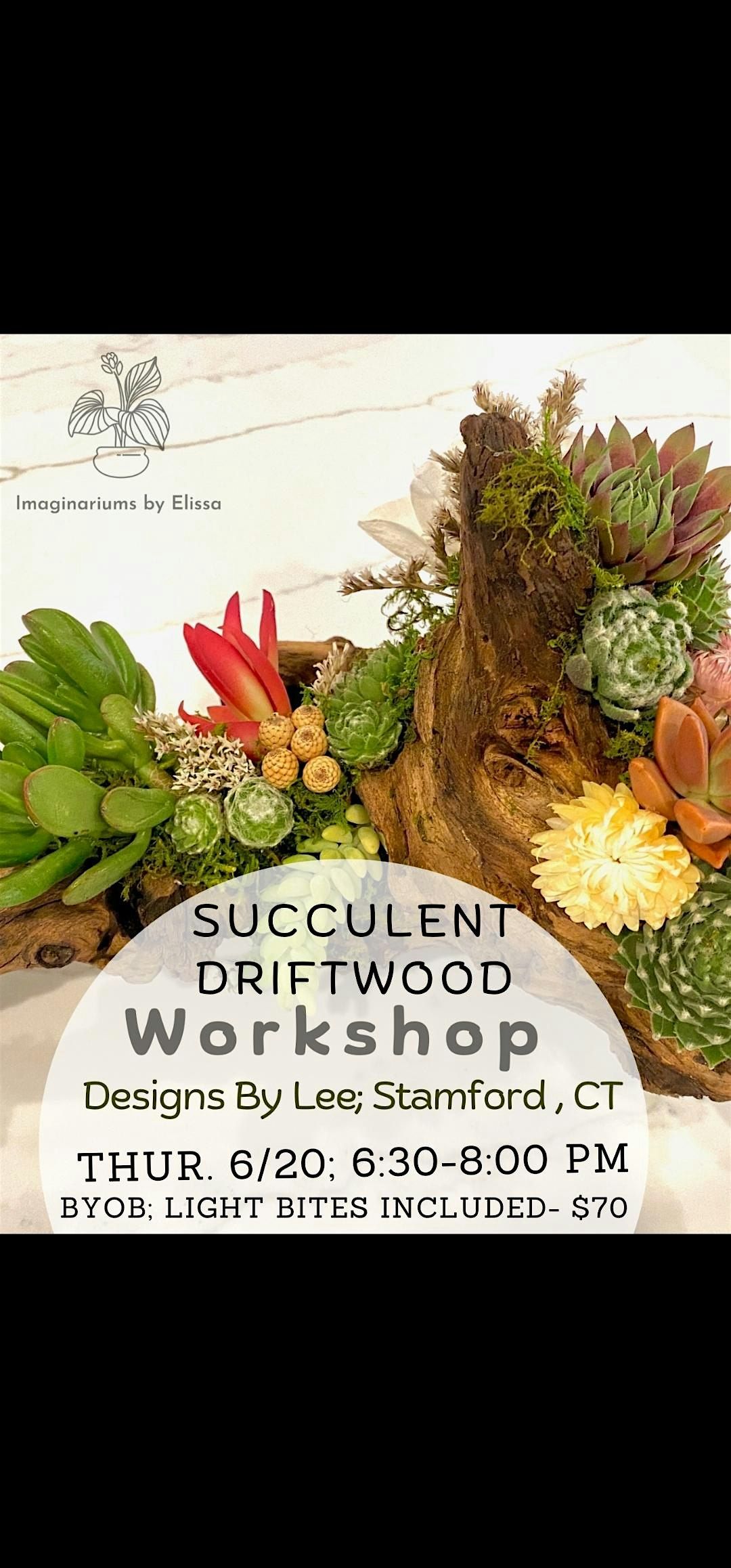 Succulent Driftwood Workshop
