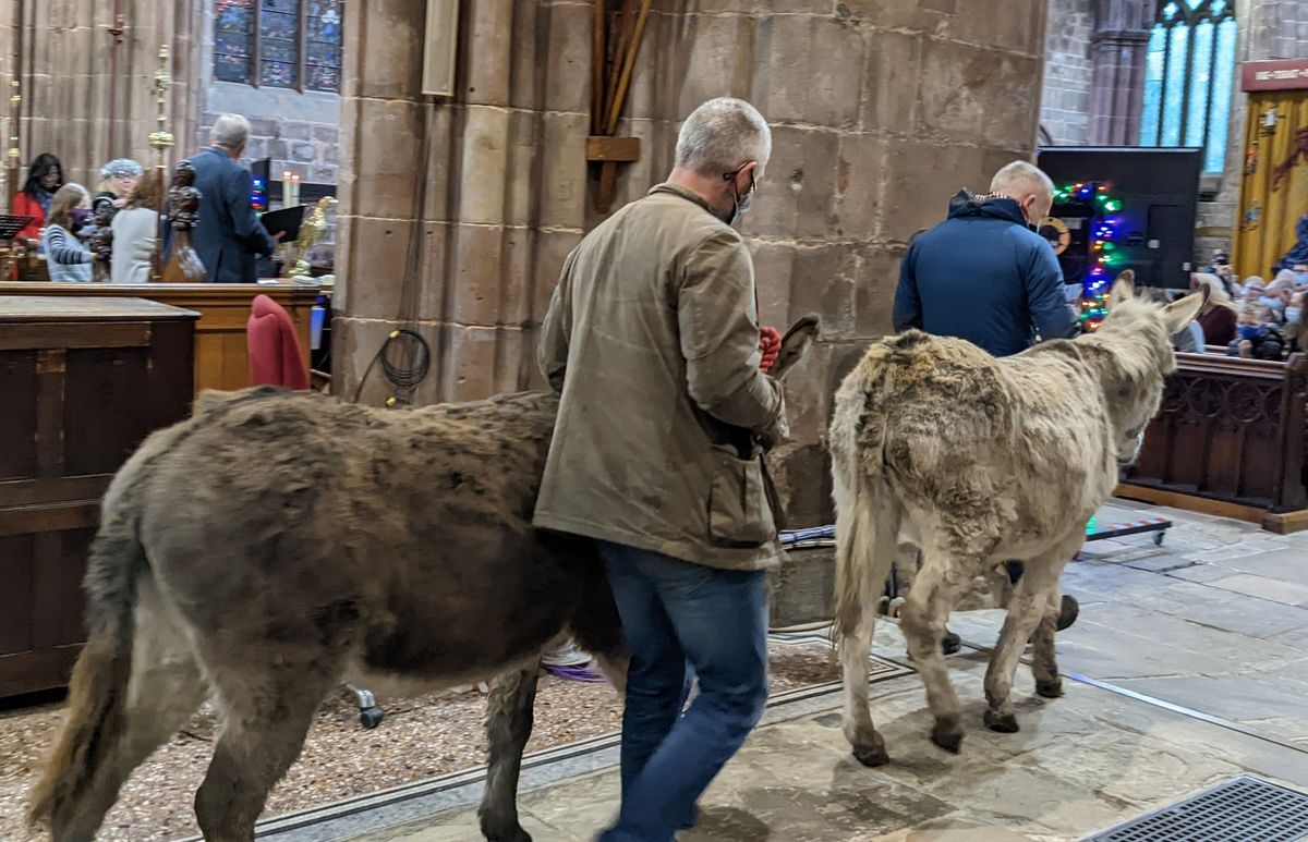 All Age Nativity with donkeys and Christmas Party