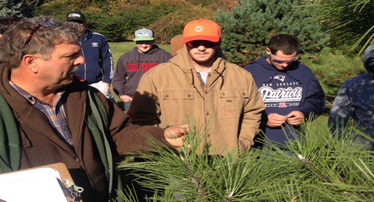 Landscape Plants: Identification, Selection, and Application (In-Person Training)