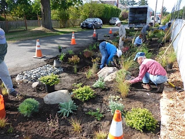 October Port Townsend Rain Garden Work party!