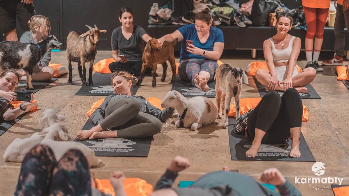 SOLD OUT - GOAT YOGA