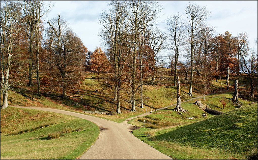 Saxons Regional Event: Knole Park & YBT\/S Heat. Sun 23 Mar.