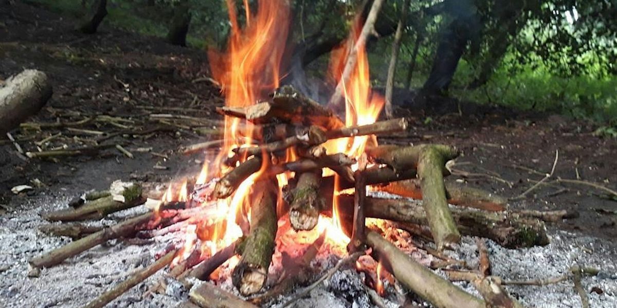 Family Bushcraft & Woodland Skills