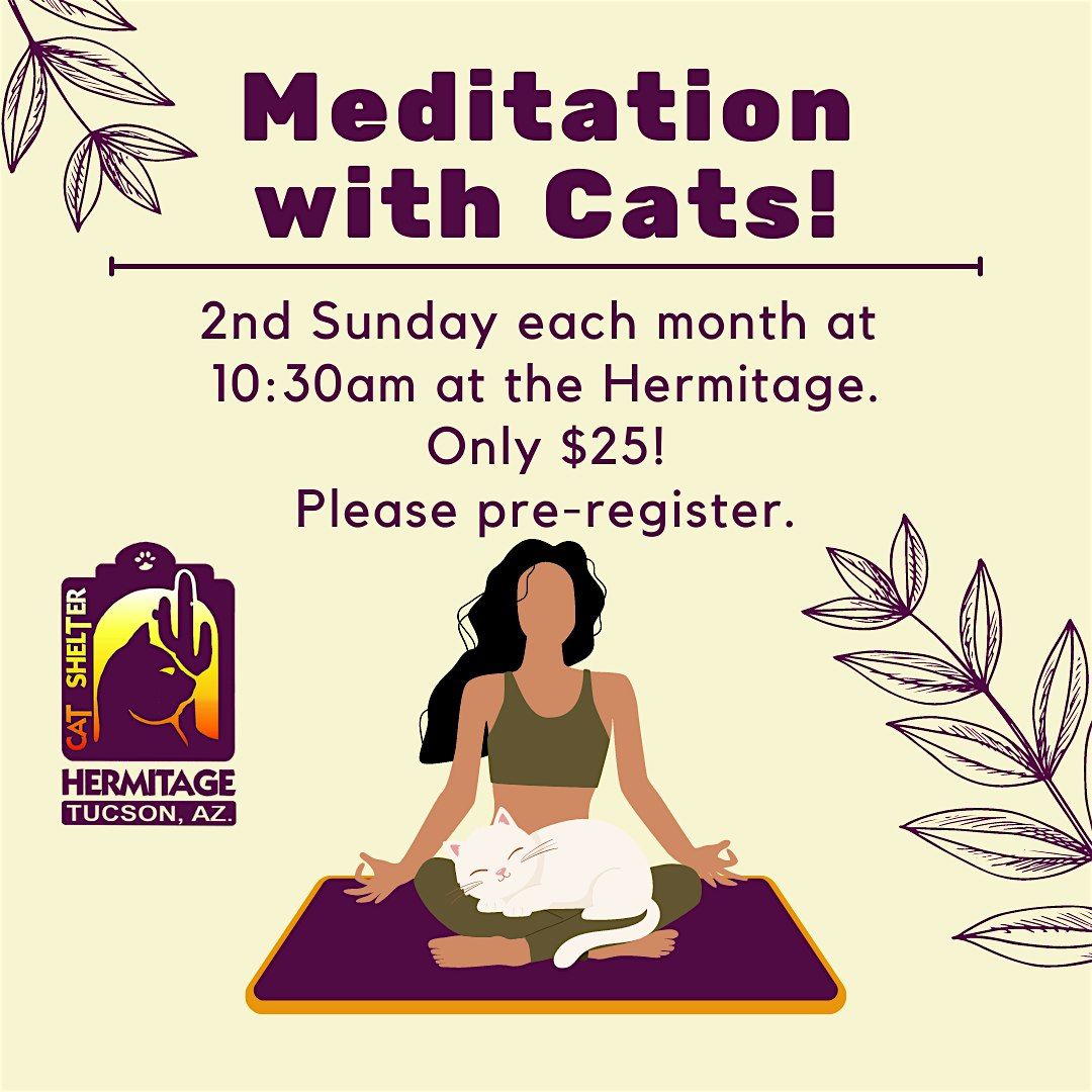 Meditation with Cats