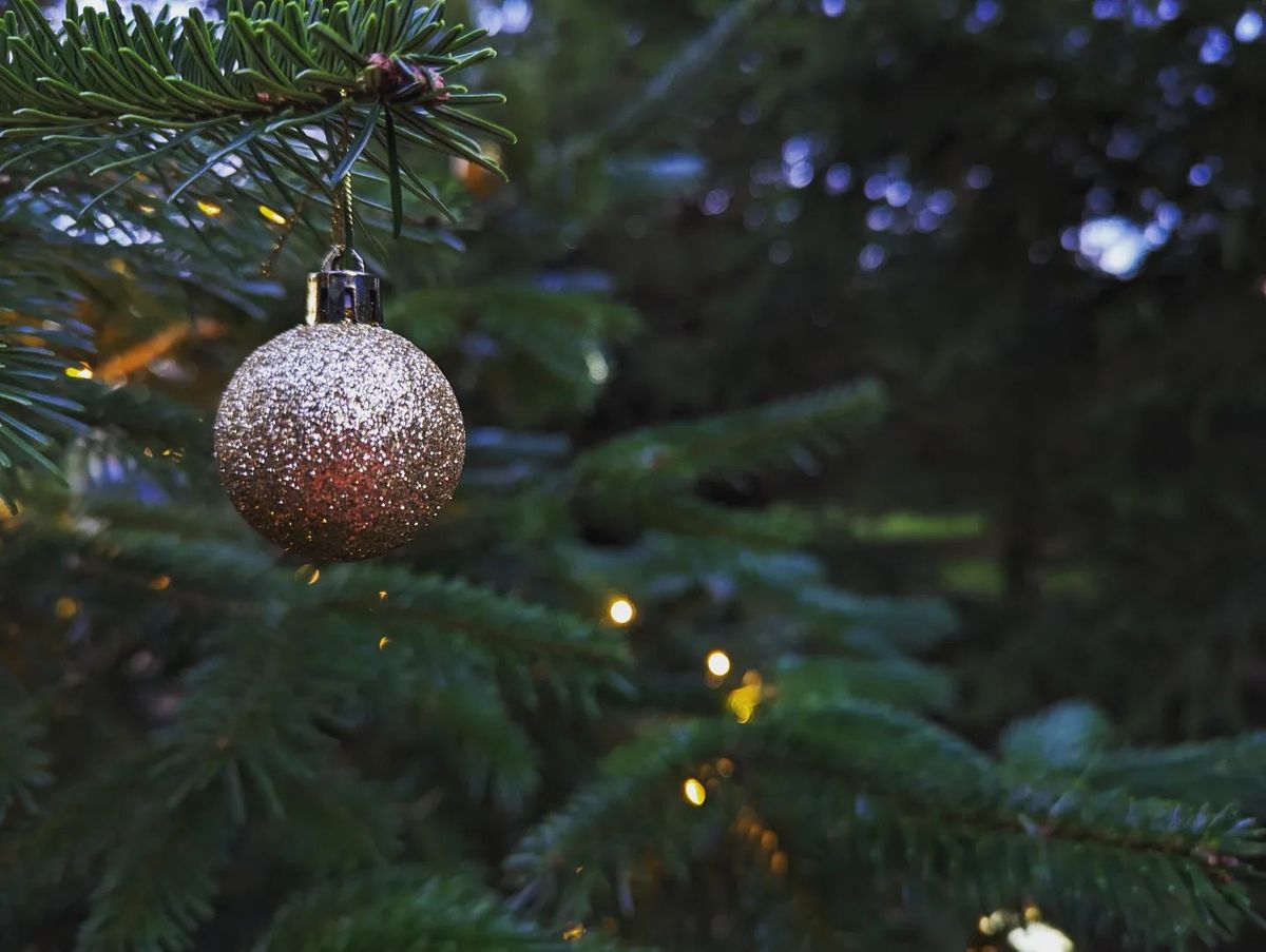 Carols in the Christmas trees