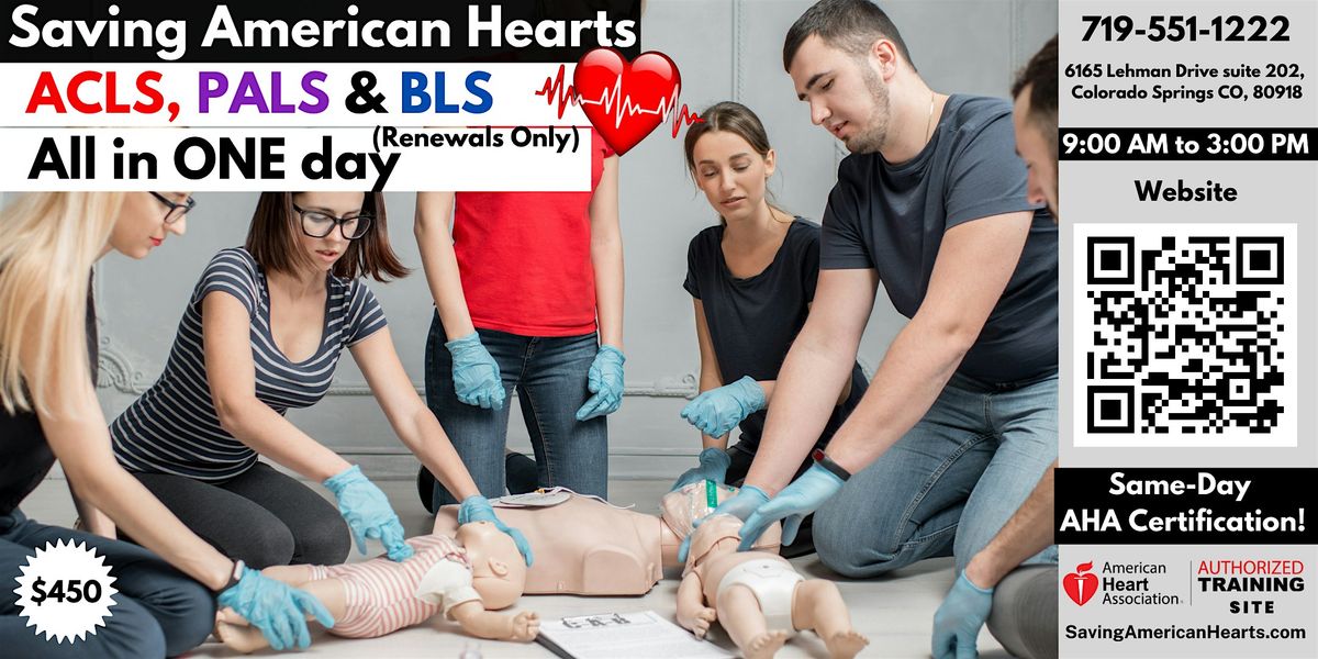 AHA ACLS\/PALS\/BLS Renewal All In One Day.