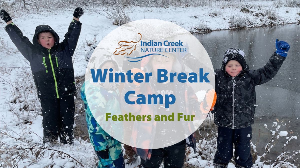 Winter Break Camp: Feathers and Fur