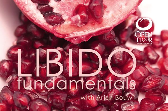 Libido Fundamentals by Arjan Bouw