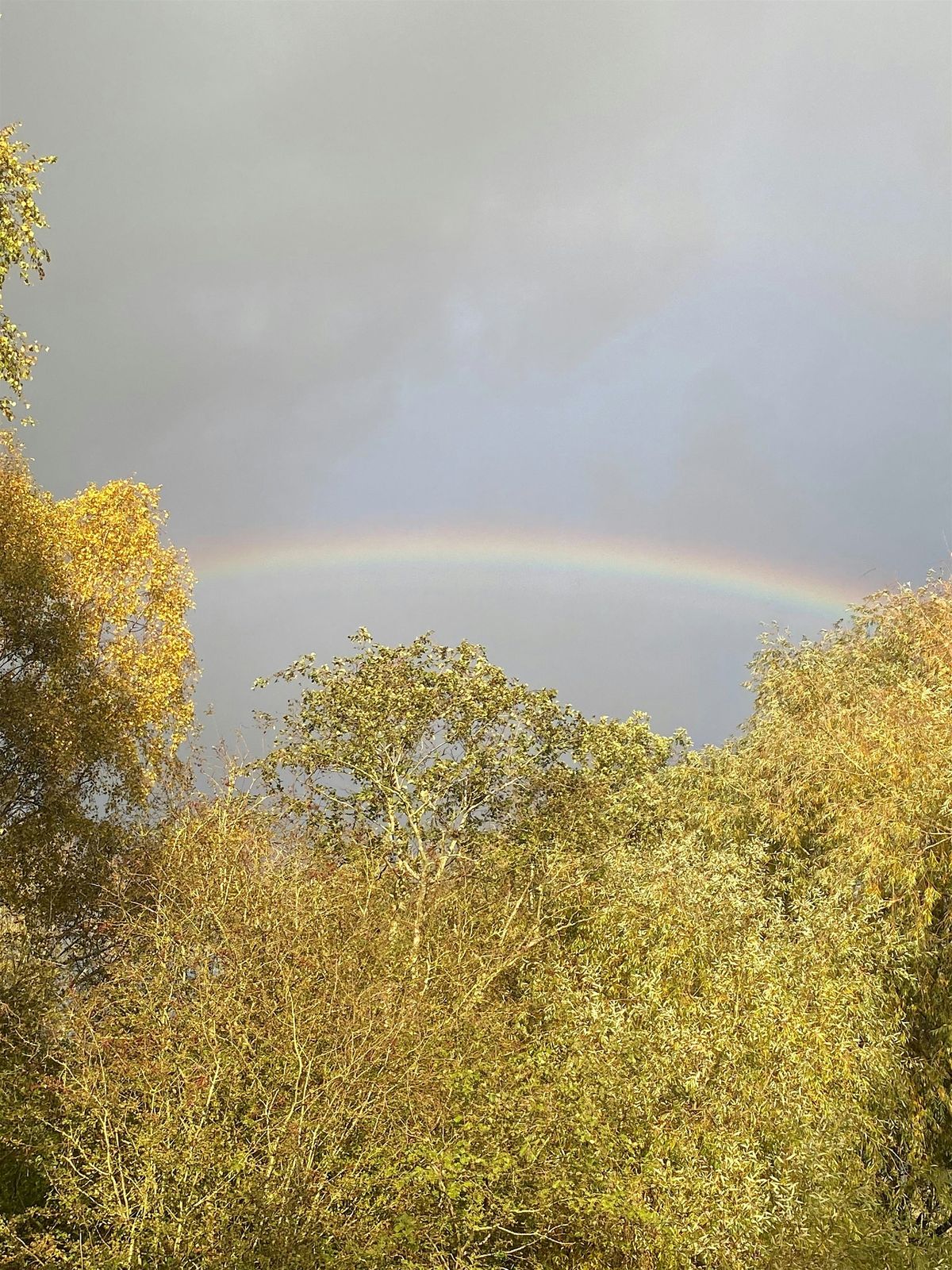 Mindfulness walk (2 December)