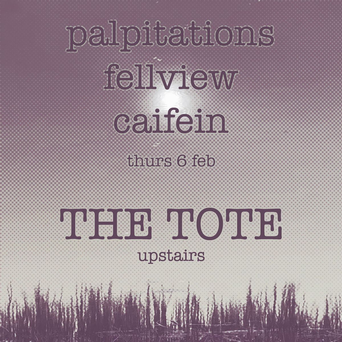 Caifein + Fellview + Palpitations